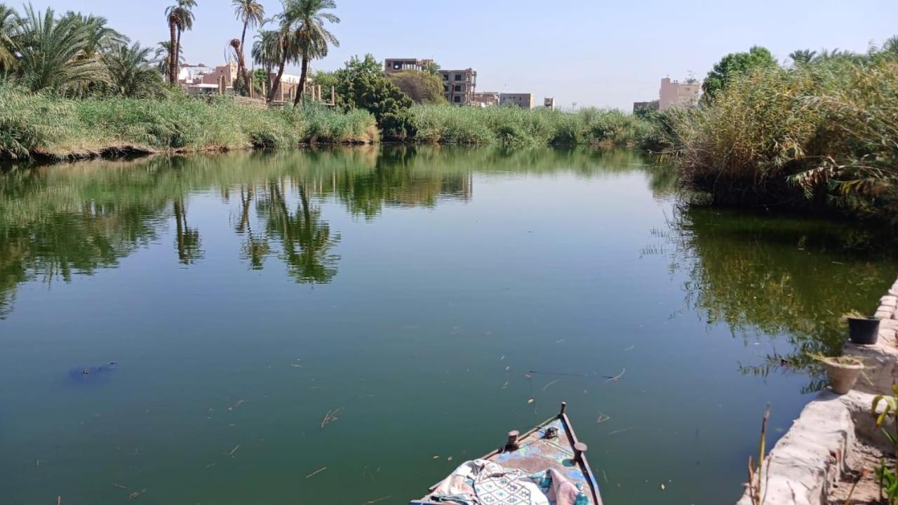 Luxor Old Nile Hotel Екстериор снимка